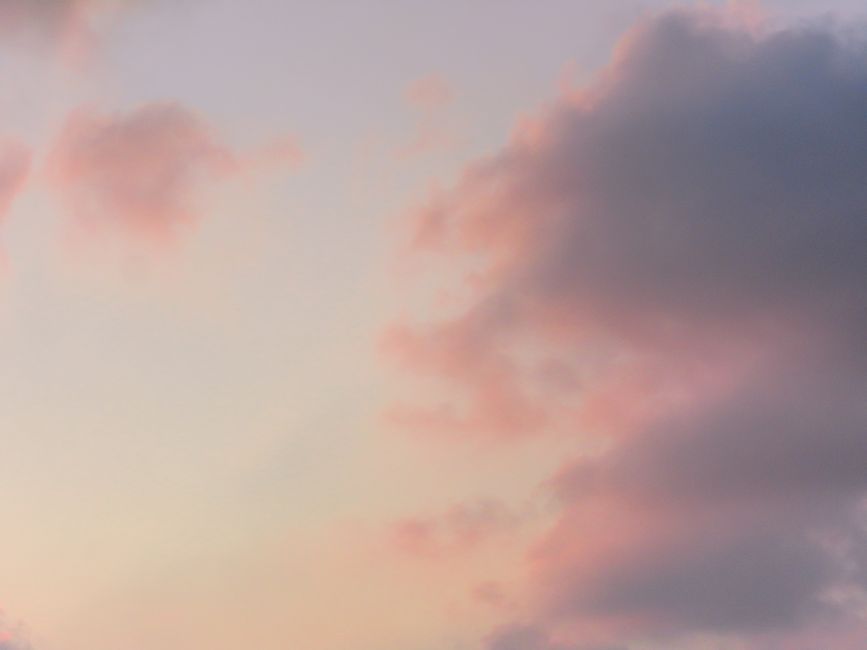 A dreamy pastel aesthetic setup with a smartphone displaying the TikTok profile page surrounded by soft clouds and neon lights