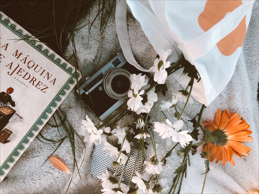 A flat-lay mood board with vintage notebooks, dried botanicals, and hand-lettered aesthetic username concepts