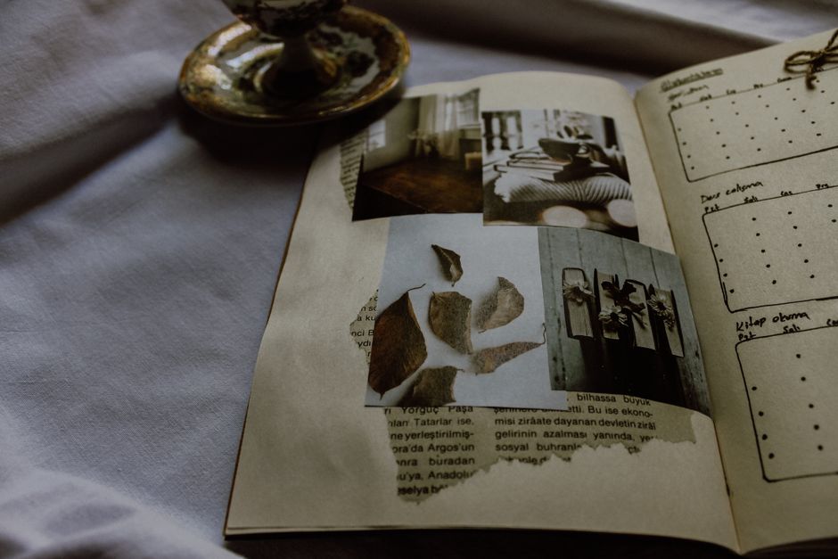 Aesthetic journal open on a wooden table with botanical illustrations