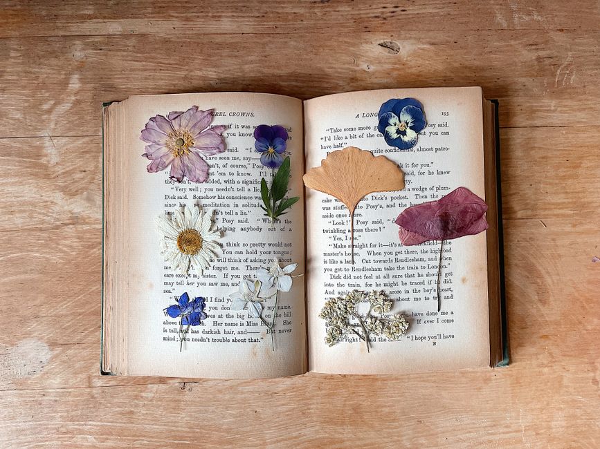 Antique botanical illustrations of roses, lilies, and wildflowers with handwritten Victorian calligraphy labels