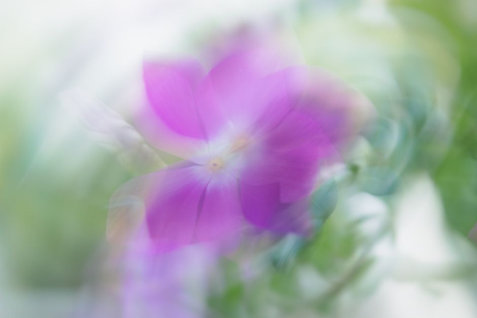 Soft ethereal cloudscape lit by golden hour sunlight with gentle sparkles and dreamy pastel tones