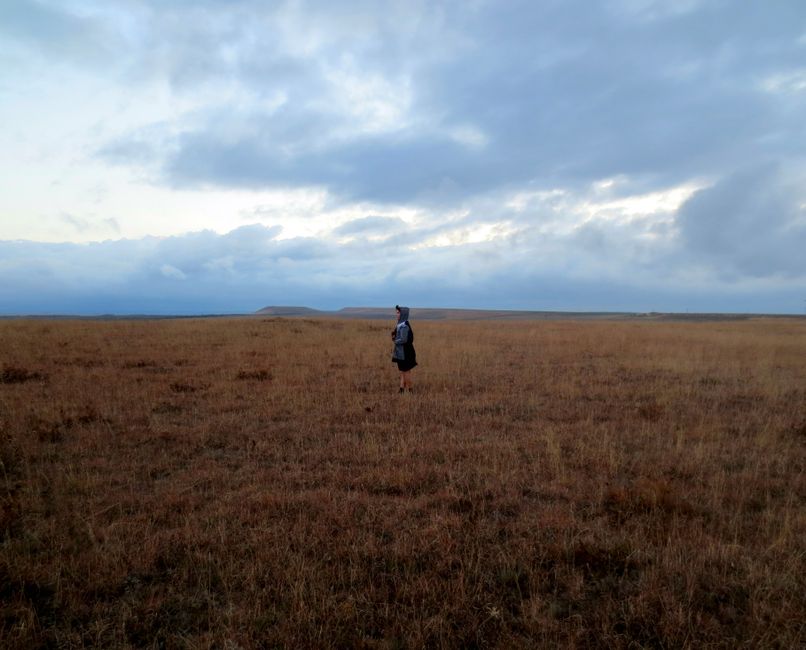 Wide open landscape of wheat fields beneath dramatic storm clouds at twilight